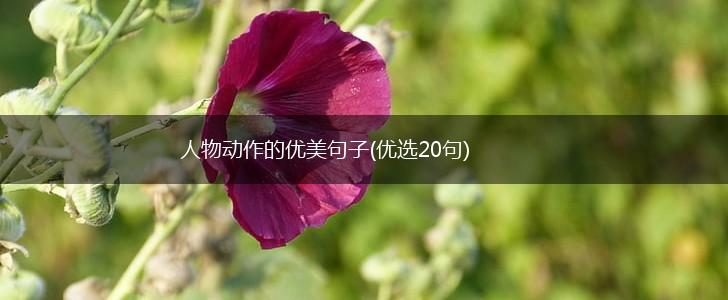 人物动作的优美句子(优选20句),第1张