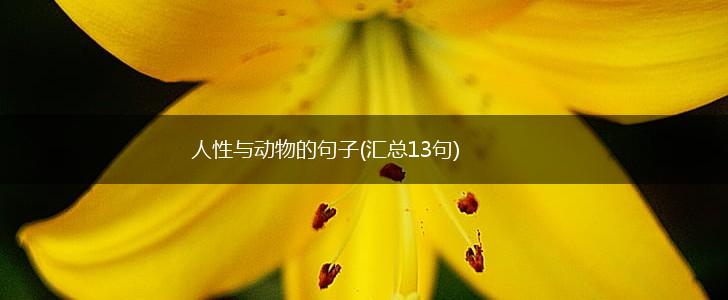 人性与动物的句子(汇总13句),第1张