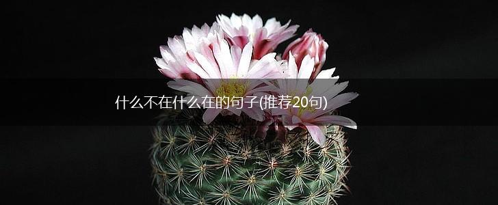 什么不在什么在的句子(推荐20句),第1张
