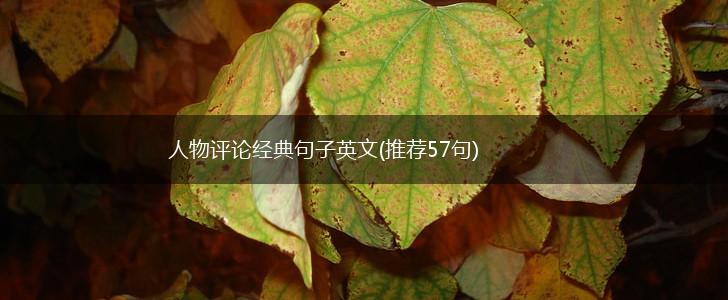 人物评论经典句子英文(推荐57句),第1张