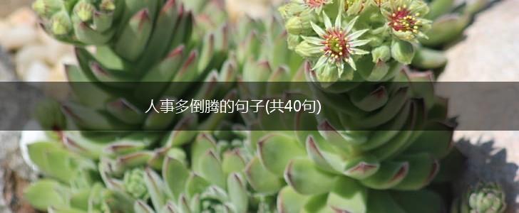 人事多倒腾的句子(共40句),第1张