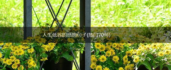 人生低谷的感想句子(热门70句),第1张