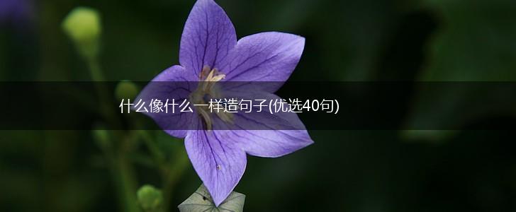 什么像什么一样造句子(优选40句),第1张 什么像什么一样造句子(优选40句),第1张