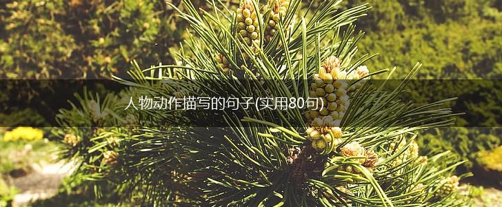 人物动作描写的句子(实用80句),第1张