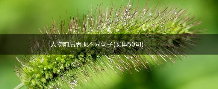 人物前后表现不同句子(实用50句),第1张