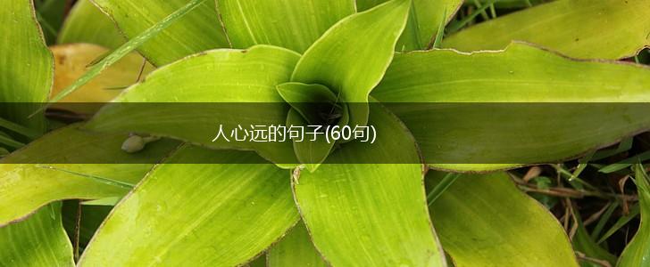 人心远的句子(60句),第1张