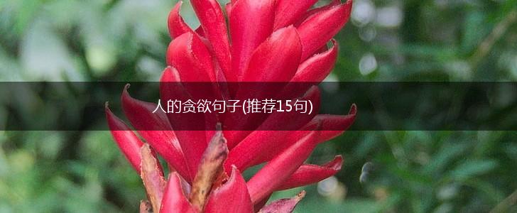 人的贪欲句子(推荐15句),第1张