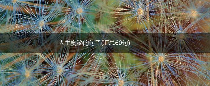 人生奥秘的句子(汇总60句),第1张