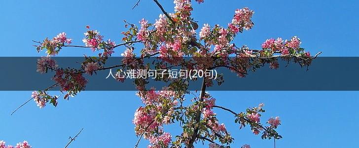 人心难测句子短句(20句),第1张