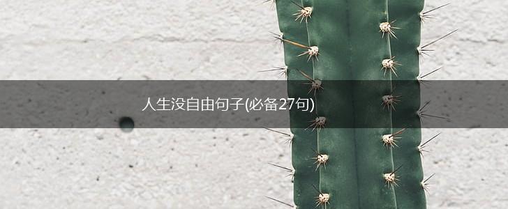 人生没自由句子(必备27句),第1张