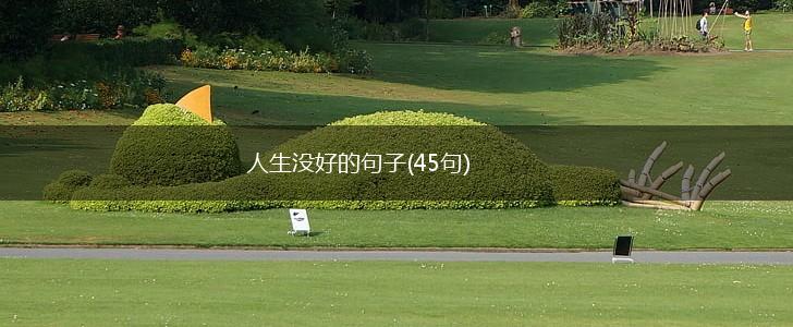 人生没好的句子(45句),第1张