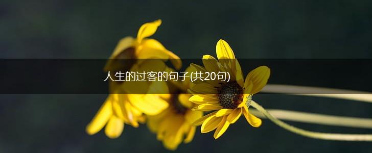 人生的过客的句子(共20句),第1张