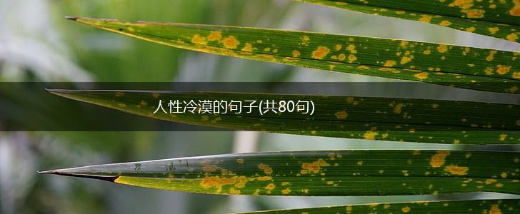 人性冷漠的句子(共80句),第1张