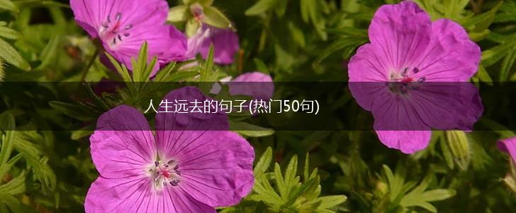 人生远去的句子(热门50句),第1张 人生远去的句子(热门50句),第1张