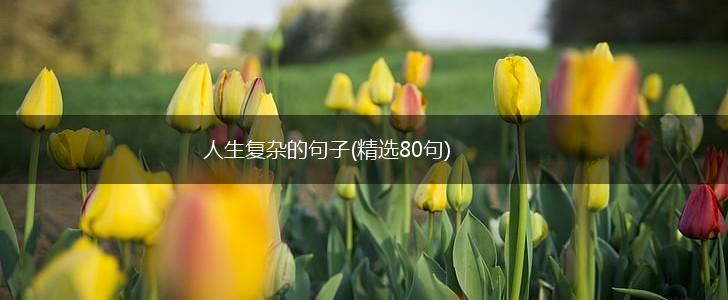 人生复杂的句子(精选80句),第1张