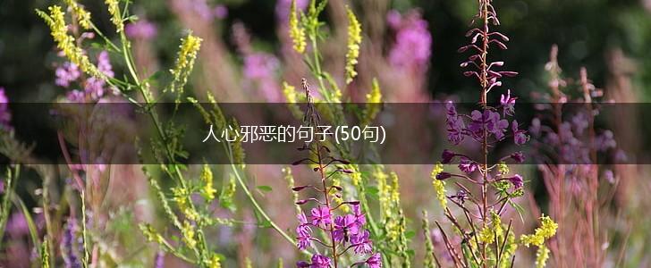 人心邪恶的句子(50句),第1张