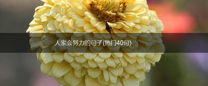 人家会努力的句子(热门40句),第1张