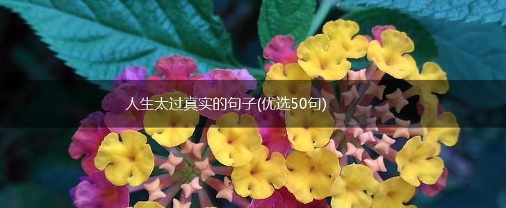 人生太过真实的句子(优选50句),第1张