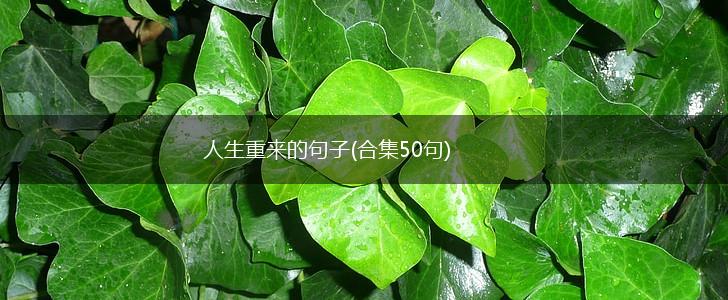 人生重来的句子(合集50句),第1张