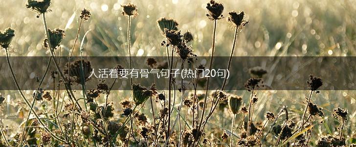 人活着要有骨气句子(热门20句),第1张