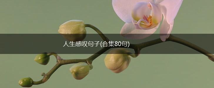 人生感叹句子(合集80句),第1张