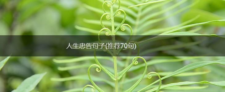 人生忠告句子(推荐70句),第1张