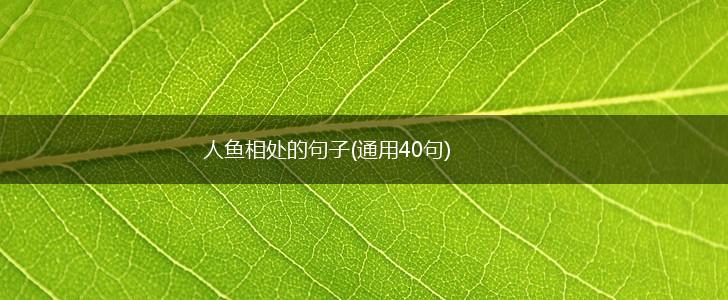 人鱼相处的句子(通用40句),第1张