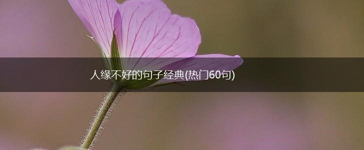 人缘不好的句子经典(热门60句),第1张