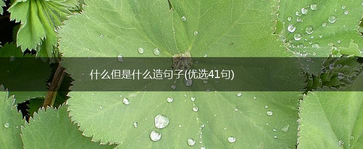 什么但是什么造句子(优选41句),第1张