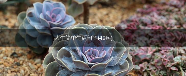 人生简单生活句子(40句),第1张