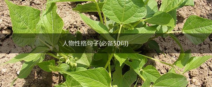 人物性格句子(必备50句),第1张