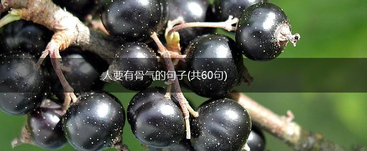 人要有骨气的句子(共60句),第1张