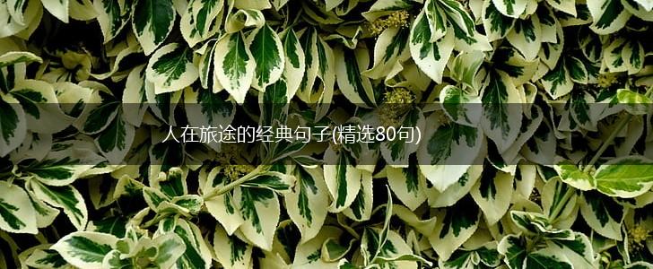 人在旅途的经典句子(精选80句),第1张