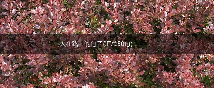 人在路上的句子(汇总50句),第1张