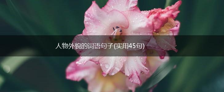 人物外貌的词语句子(实用45句),第1张