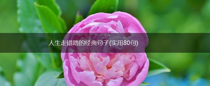 人生走错路的经典句子(实用80句),第1张
