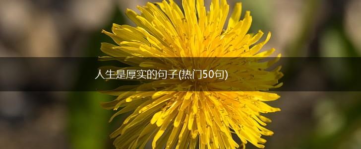 人生是厚实的句子(热门50句),第1张