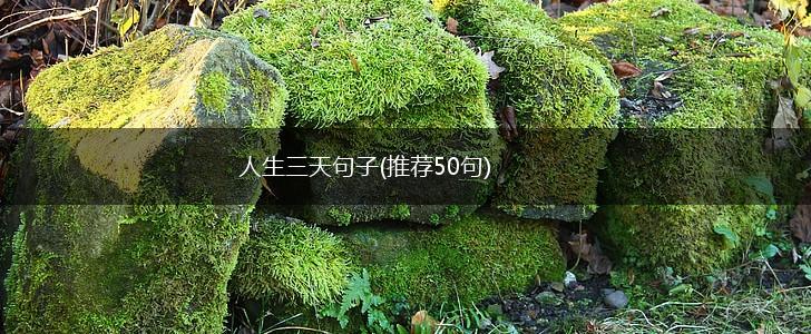 人生三天句子(推荐50句),第1张