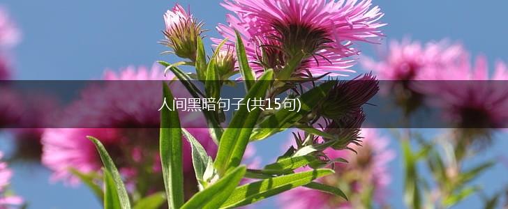 人间黑暗句子(共15句),第1张 人间黑暗句子(共15句),第1张