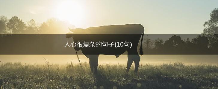 人心很复杂的句子(10句),第1张