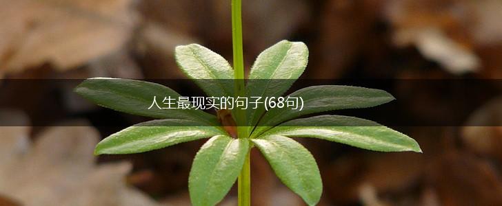 人生最现实的句子(68句),第1张