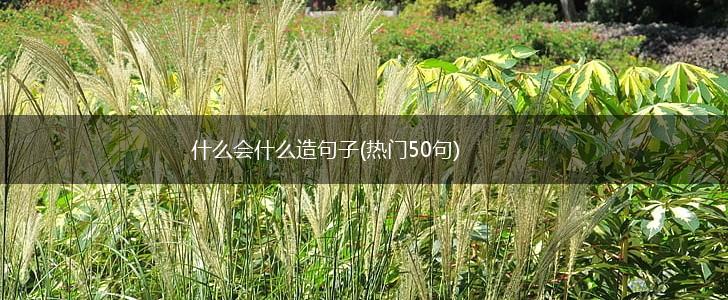 什么会什么造句子(热门50句),第1张