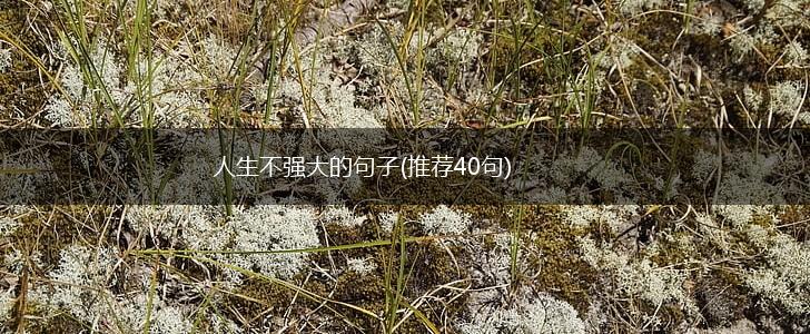 人生不强大的句子(推荐40句),第1张