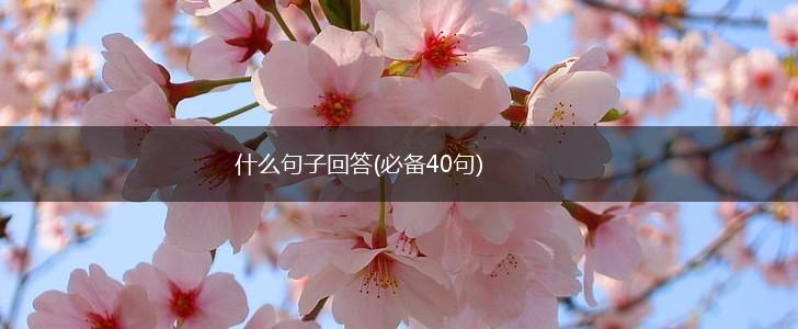 什么句子回答(必备40句),第1张