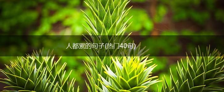 人都累的句子(热门40句),第1张