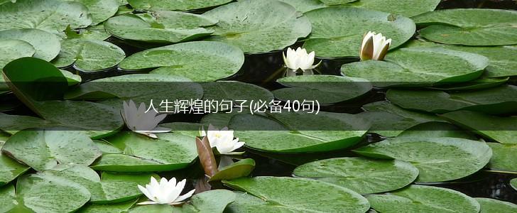 人生辉煌的句子(必备40句),第1张