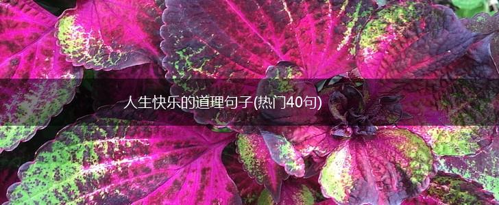 人生快乐的道理句子(热门40句),第1张