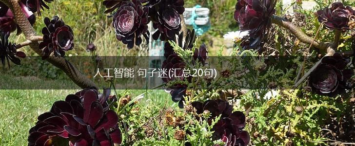 人工智能 句子迷(汇总20句),第1张