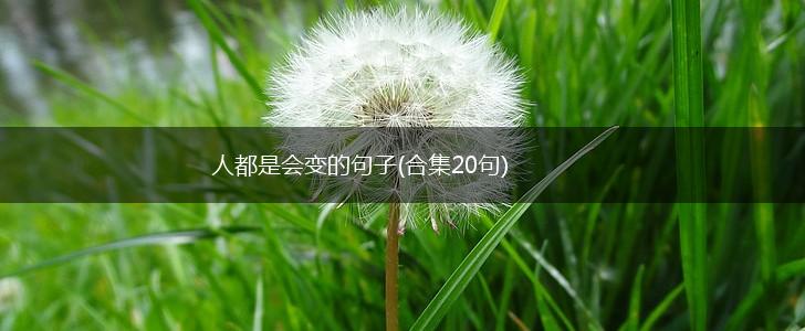 人都是会变的句子(合集20句),第1张