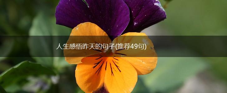 人生感悟昨天的句子(推荐49句),第1张